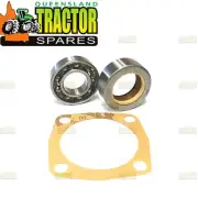Ferguson TE20 Rear PTO Seal and Bearing Kit with Leather Seal