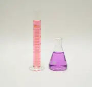 50mL Cylinder 100mL Erlenmeyer Flask Set Borosilicate Glass Graduated Lab New