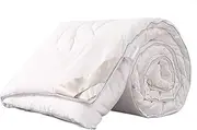 JSEIAJB Home Textile Quilt Core Spring and Autumn by Soybean Fiber by Cool Quilt Winter Quilt(3500g)