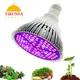 全光譜LED植物生長燈家用室內E27燈泡多肉上色防徒補光燈架夾套裝