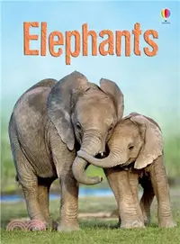 在飛比找三民網路書店優惠-Usborne Beginners: Elephants