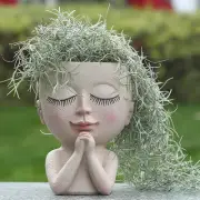 Cute Succulent Planter - Face Planter Flower Pot - Kawaii Head Planters -Uniq...