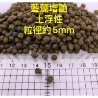 在飛比找蝦皮購物優惠-海豐藍藻增艷錦鯉飼料20公斤、賽級錦鯉飼料，錦鯉增色飼料