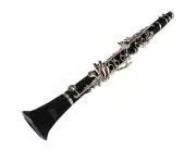 Axiom E Flat Clarinet - Piccolo Clarinet - Complete Outfit Ideal for Children