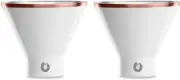 SNOWFOX Insulated Stainless Steel Martini Margarita Glass Set of 2 Glassware