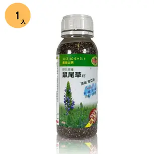 亞積 瑪雅野生原種-鼠尾草籽(頂級奇亞籽)430公克/罐