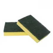 Standard Sponge Scourer 10 Pack 15X10cm