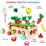 Montessori Educational Wooden Toys for Baby Boys Girls Shape Sorting Toys Gifts for 3+ Year Olds Fine Motor Skills Game