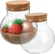 CLISPEED 2pcs Clear Glass Microlandscape Bottle with Cork Stopper Spherical Terrarium Jars for Home Decor Elegant Storage for Indoor Plants and Crafts No Light