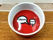 Crate & Barrel Meow Purr Red & White 4.5" x2" R Food Water Pet Bowl New