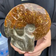 1.9lb Rare Natural Ammonite Fossil Conch Crystal Specimen Healing