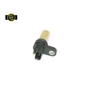 RAE Camshaft Position Sensor - SC210GEN