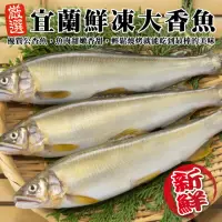 在飛比找momo購物網優惠-【三頓飯】宜蘭鮮凍大香魚(共24尾_8尾/920g/盒)