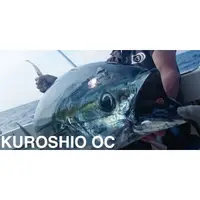 在飛比找蝦皮購物優惠->日安路亞< tailwalk KUROSHIO OC 船拋