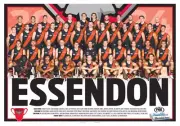 2024 ESSENDON BOMBERS AFL FOOTBALL ALL team poster, BIG 420mm , BARGAIN
