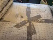 West Elm Tencel Metallic dots jacquard full queen duvet frost gray New