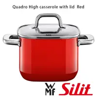 在飛比找蝦皮購物優惠-【德國WMF】Silit Quadro High casse