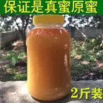 爆款熱銷 蜂蜜 荔枝蜜 百花蜜 【1000G野桂花蜂蜜】純正天然土蜂蜜無添加 枇杷蜂蜜百花蜜荔枝蜜