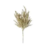 [James Lane] Astilbe Bush Grey - 23cm x 14cm x 39cm