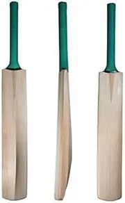 Advik enterprises27 Plain Leather Ball Kashmir Willow Cricket Bat Extra Light Weight Short Handle