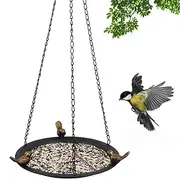 Bird Bath - Bird Feeder Birdbaths for Outdoors, Water Bowl Tray | Weather Resistant Metal Garden Decor for Lawn, Patio, Balcony, Yard Art, Backyard Feeding Station, Outdoor Wildlife Attraction Piece