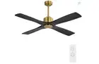 WINGBO 54 Inch DC Ceiling Fan without Lights, 4 Carved Solid Wood Blades, 6-Spee
