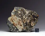 NWA 16497 - 49,2g - L4 melt breccia - Meteorite