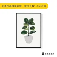 在飛比找momo購物網優惠-【菠蘿選畫所】盆栽意趣 – 橡膠樹-42x60cm(畫/植物