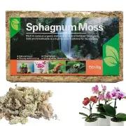 High Quality Natural Sphagnum Moss Potting Mix Fiber Peat Moss Plant Dry Moss