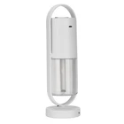 Cool Mist Humidifier Ultra Quiet Mini Anion Humidifier With LED Lights For