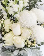 Lucerne - WOW (Mother's Day)
