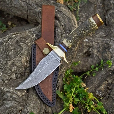 Hand-Forged Damascus Steel Bowie Knife with Stag & Brass Guard Handle, Sheath