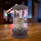 AU Cute Shape Backflow Incense Incense Holder Home Office Ornament DecorS