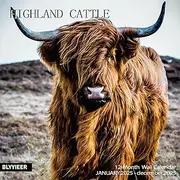 2025 Wall Calendar,Calendar 2025,Highland Cattle Monthly Wall Calendar, 12" x 24" Open,Family Planner Calendar, Home & Office Organizer,Hangable