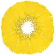 120pcs Goose Feathers 6-8 Inch 15-20cm Decorative Natural Goose Nagoire Yellow