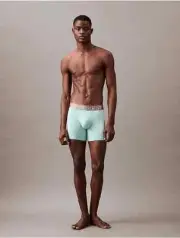 Calvin Klein Men's Icon Micro Boxer Brief, Tickled Green, Small