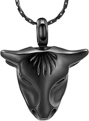 DOTUIARG Cremation Jewelry for Ashes Urn Necklace Keepsake 316L Stainless Steel Memorial Pendant