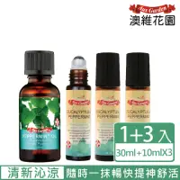 在飛比找momo購物網優惠-【Ausgarden 澳維花園】爆涼爽舒活４件組(薄荷精油x