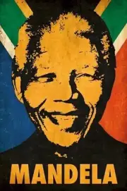 NELSON MANDELA ~ COLORS AND FLAG ~ 24x36 POLITICAL HISTORY POSTER ~ NEW/ROLLED!