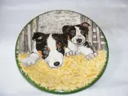 WELSH HAND PAINTED STUDIO POTTERY PLATE BY JULIE RICHARDS SHEEPDOG PUPPIES