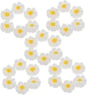 Beatifufu 50pcs Tiny Resin Daisy Charms Decoration Delicate Resin Flowers Charms Multi-use DIY Decoration Phone Case Hairpin DIY Charms