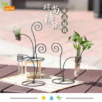 在飛比找蝦皮購物優惠-【迎光】時尚鑄鐵水晶植栽