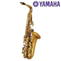 在飛比找Yahoo!奇摩拍賣優惠-小叮噹的店-YAMAHA YAS82ZUL 日本製 Z系列 