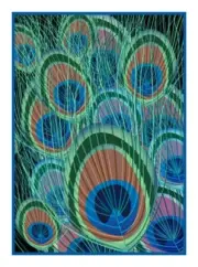 Colorful Peacock Feathers Counted Cross Stitch Chart Pattern