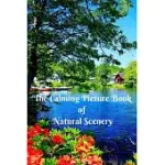 THE CALMING PICTURE BOOK OF NATURAL SCENERY: DEMENTIA ACTIVITIES FOR SENIORS & ADULTS - A LARGE PRINT BOOK WITH BRIEF DESCRIPTIONS FOR DEMENTIA PATIEN