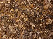 Lot of 50 pcs Assorted Vintage Gold Molded Plastic Craft Sewing Shank Buttons