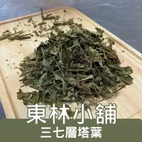 在飛比找蝦皮購物優惠-《東林小舖》小本七層塔葉 山七層塔 山九層塔 假茉草 養甘茶