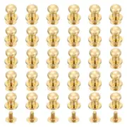 30Pcs 6mm Chicago Screws Round Head Button Leathercraft Rivets, Light Gold