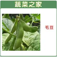 在飛比找樂天市場購物網優惠-【蔬菜之家】E09.毛豆(隨季節替換)種子 (共兩種包裝可選