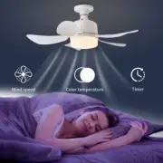 Wireless Light Fan with Remote Control, 17.7 Inch Ceiling Fan, 3 Speeds White
